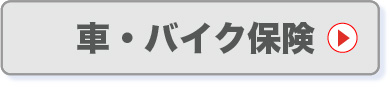 車・バイク保険